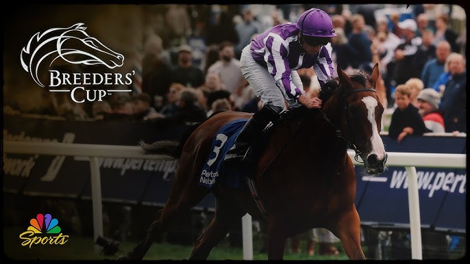 FAQ - visual representation