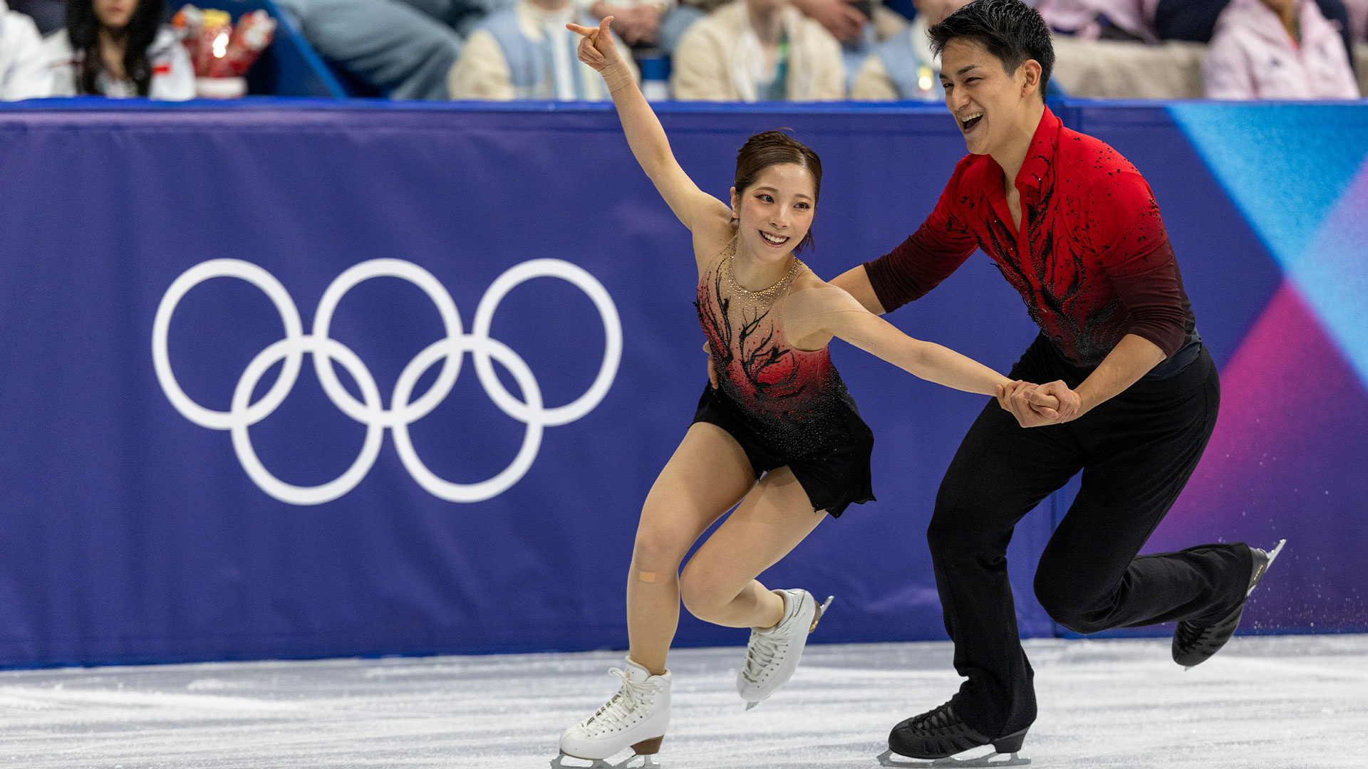 The Schedule and What to Expect - visual representation