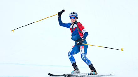 Free Streaming in the United States: NBC and Peacock Coverage - visual representation