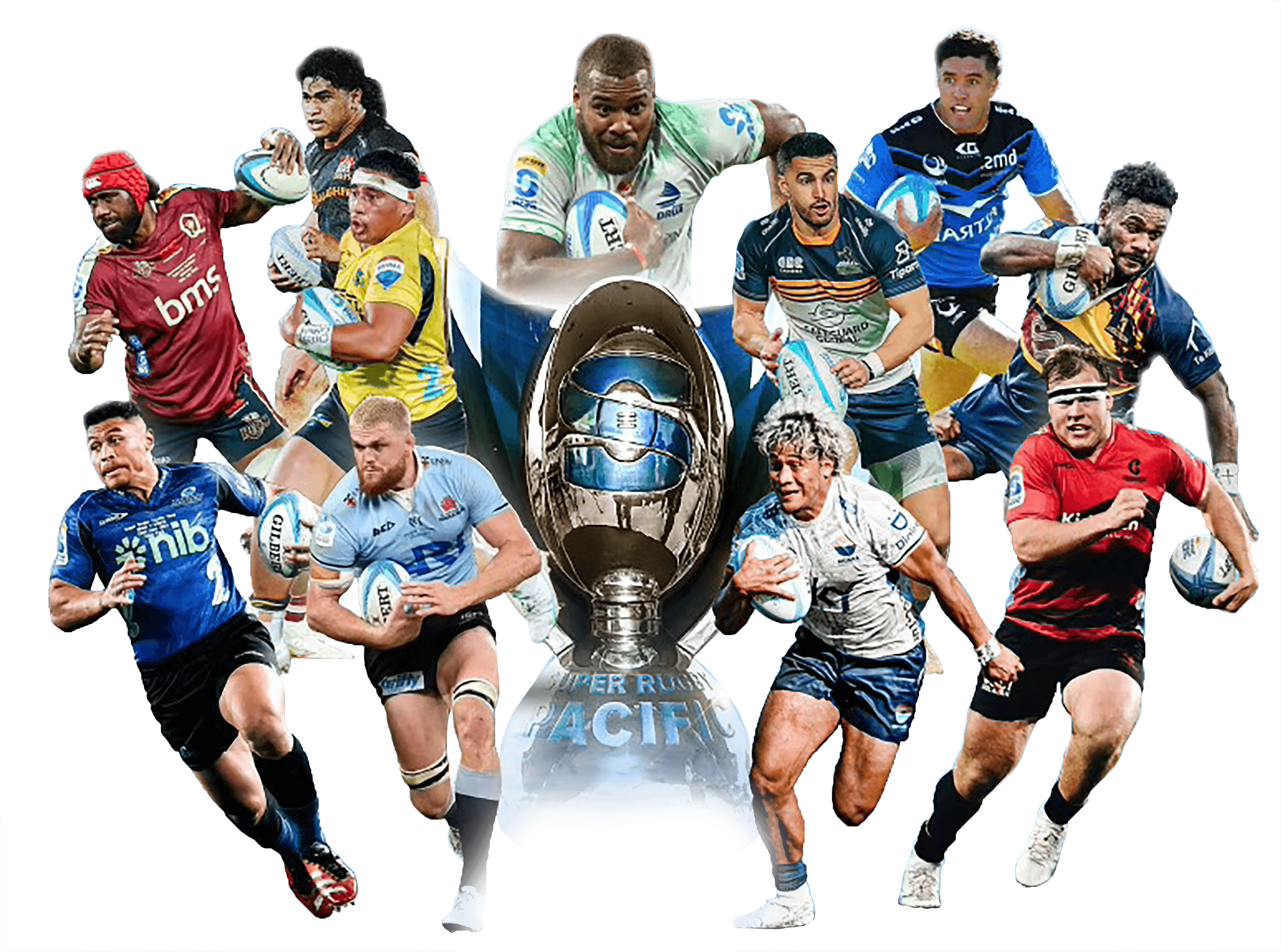 Interview Insights: What Streaming Experts Recommend - visual representation