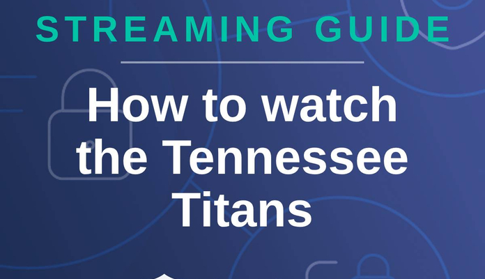 Virtual Private Networks: Technical Implementation Guide - visual representation