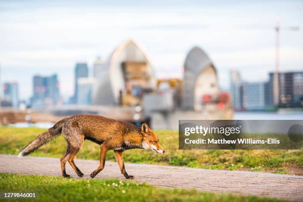 FAQ - visual representation