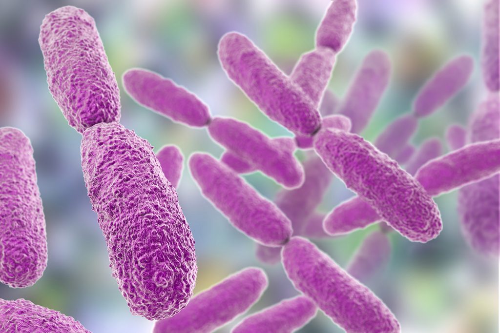 Antibiotic Treatment: Finding The Right Drug - visual representation