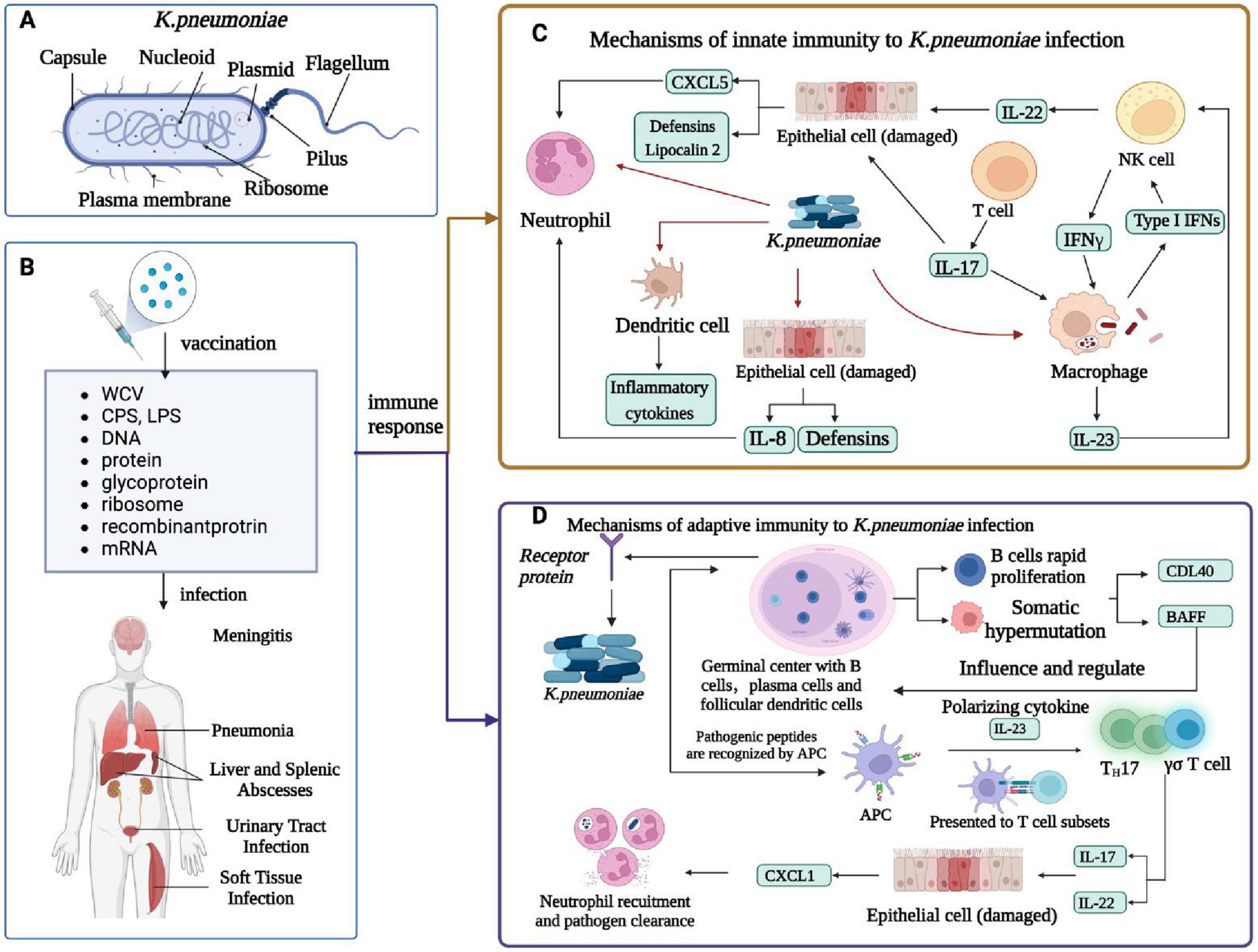 Recognition And Early Detection: The Key To Survival - visual representation