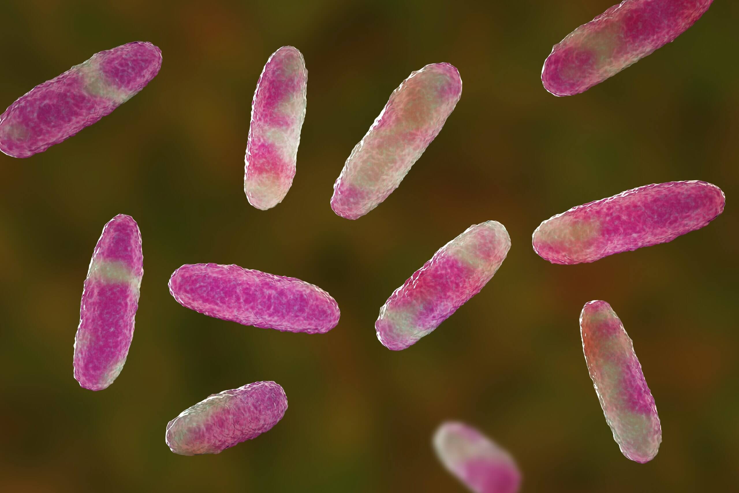 Organ Tropism: Why The Liver First? - visual representation