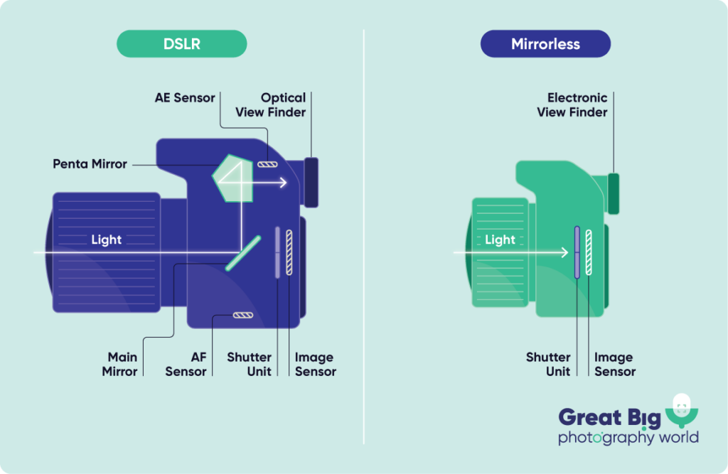 Camtraptions: A Perfect Match - visual representation
