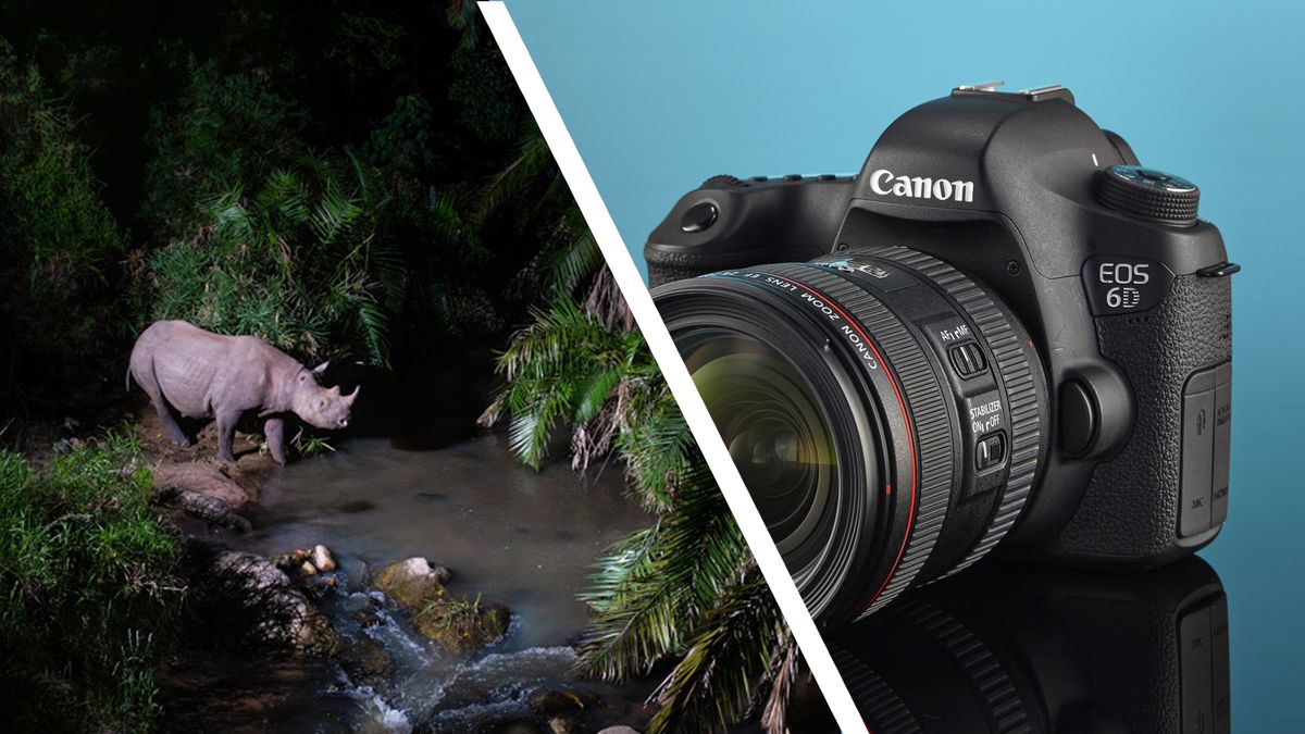 Best Practices for DSLR-Based Camtraptions - visual representation