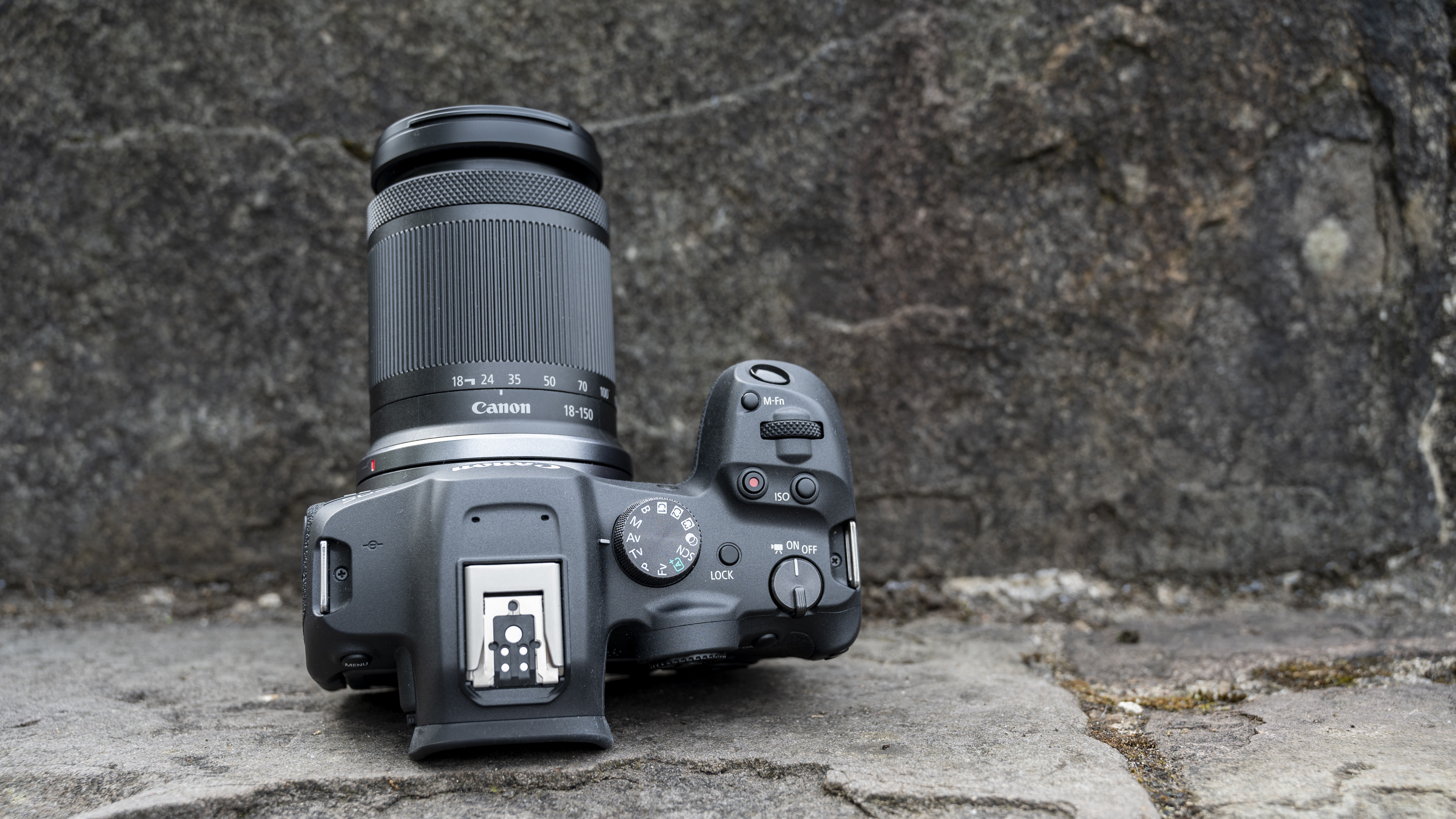 Future Trends in Wildlife Photography - visual representation