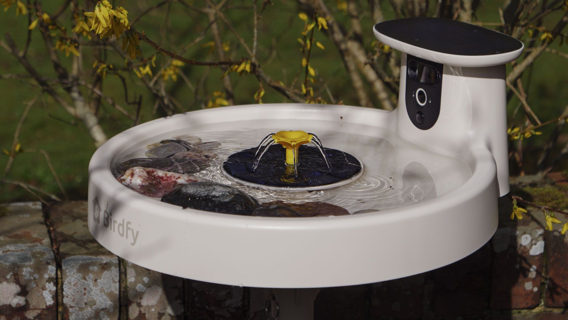 I’ve been using bird feeder cameras for years, and new avian health warnings had me worried for the summer months — but this smart bird bath alternative, along with expert advice, will let me get my garden bird-watching fix responsibly | TechRadar