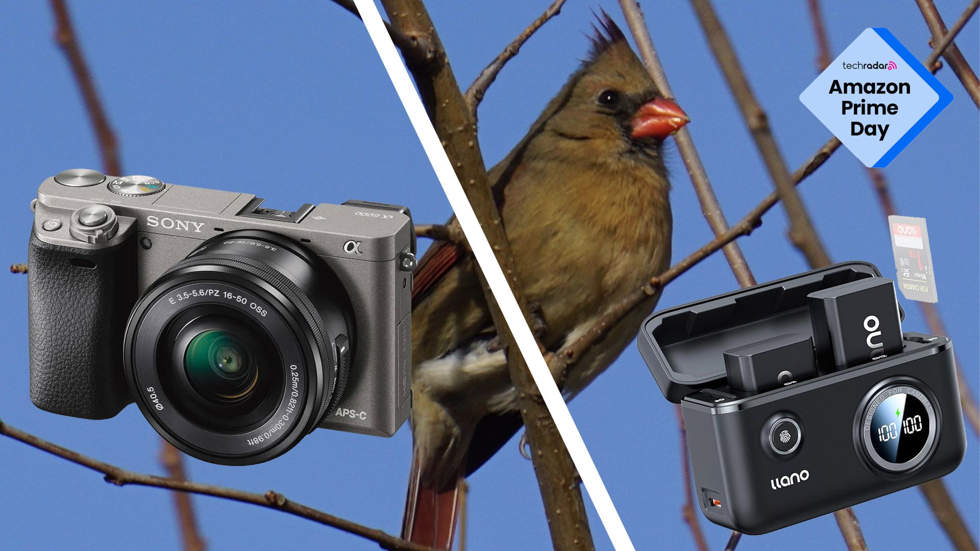I've owned a Sony Alpha a6000 for years and am seriously considering this dual battery and charger Prime Day Deal — but I do have some concerns | TechRadar