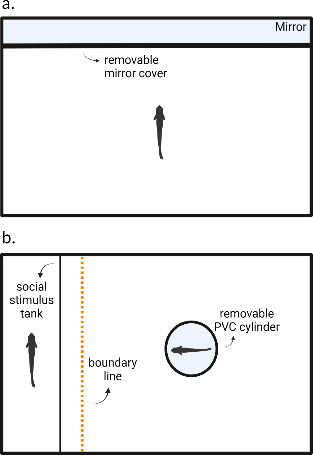 Group Behavior and Emergent Patterns - visual representation