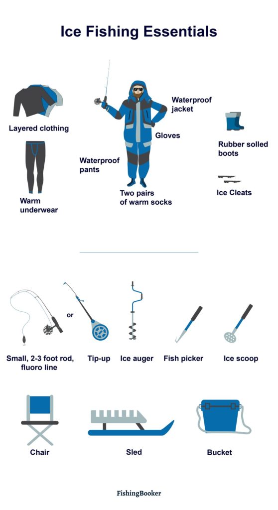 The Science Behind the Study - visual representation