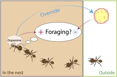 The Three Decision Factors - visual representation