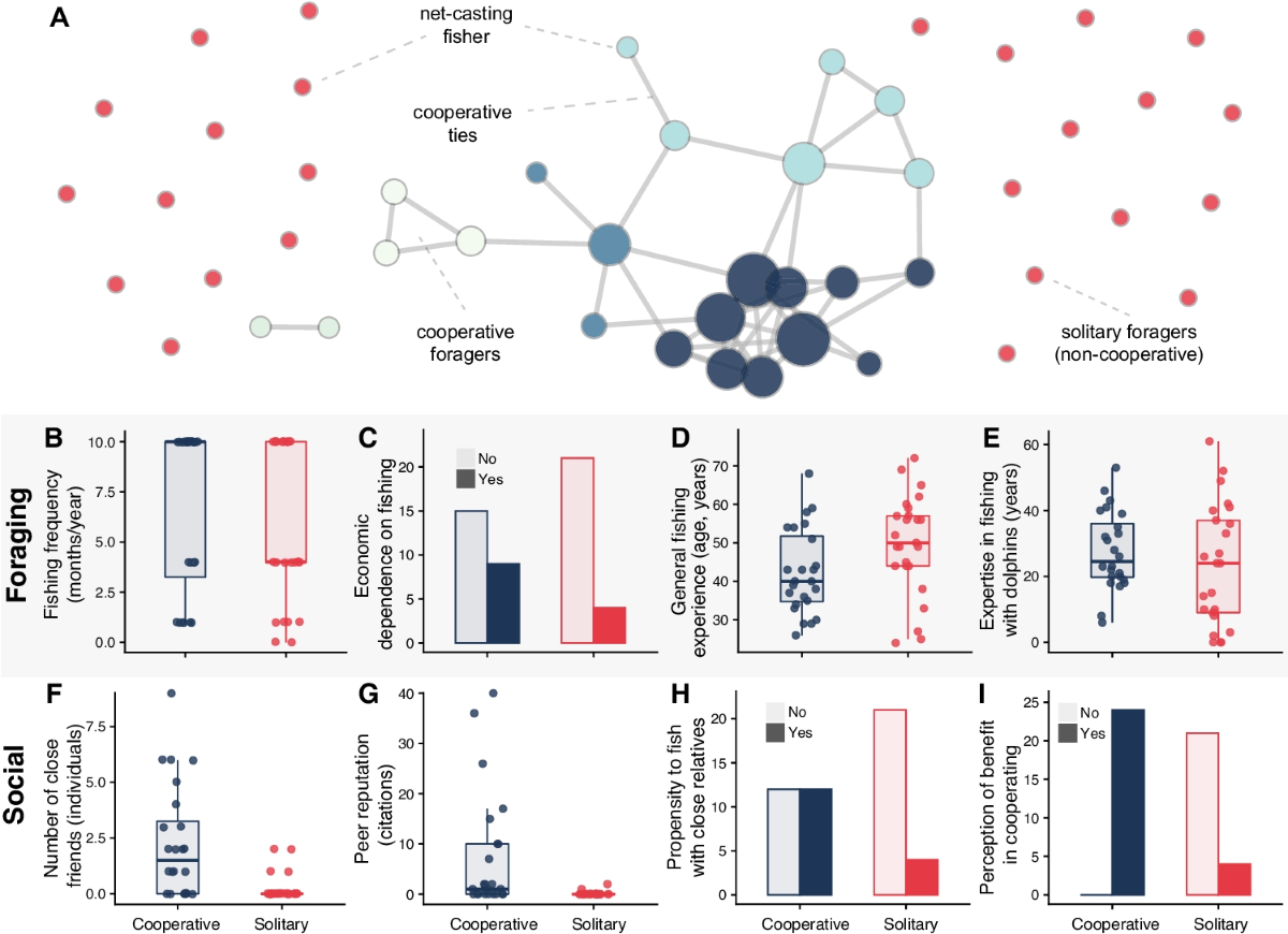 How Fishers Actually Use Social Information - visual representation