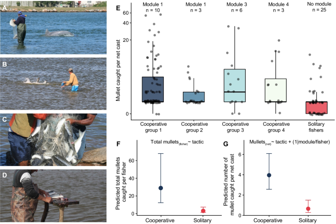 Environmental Factors: Why They Matter Less Than Expected - visual representation
