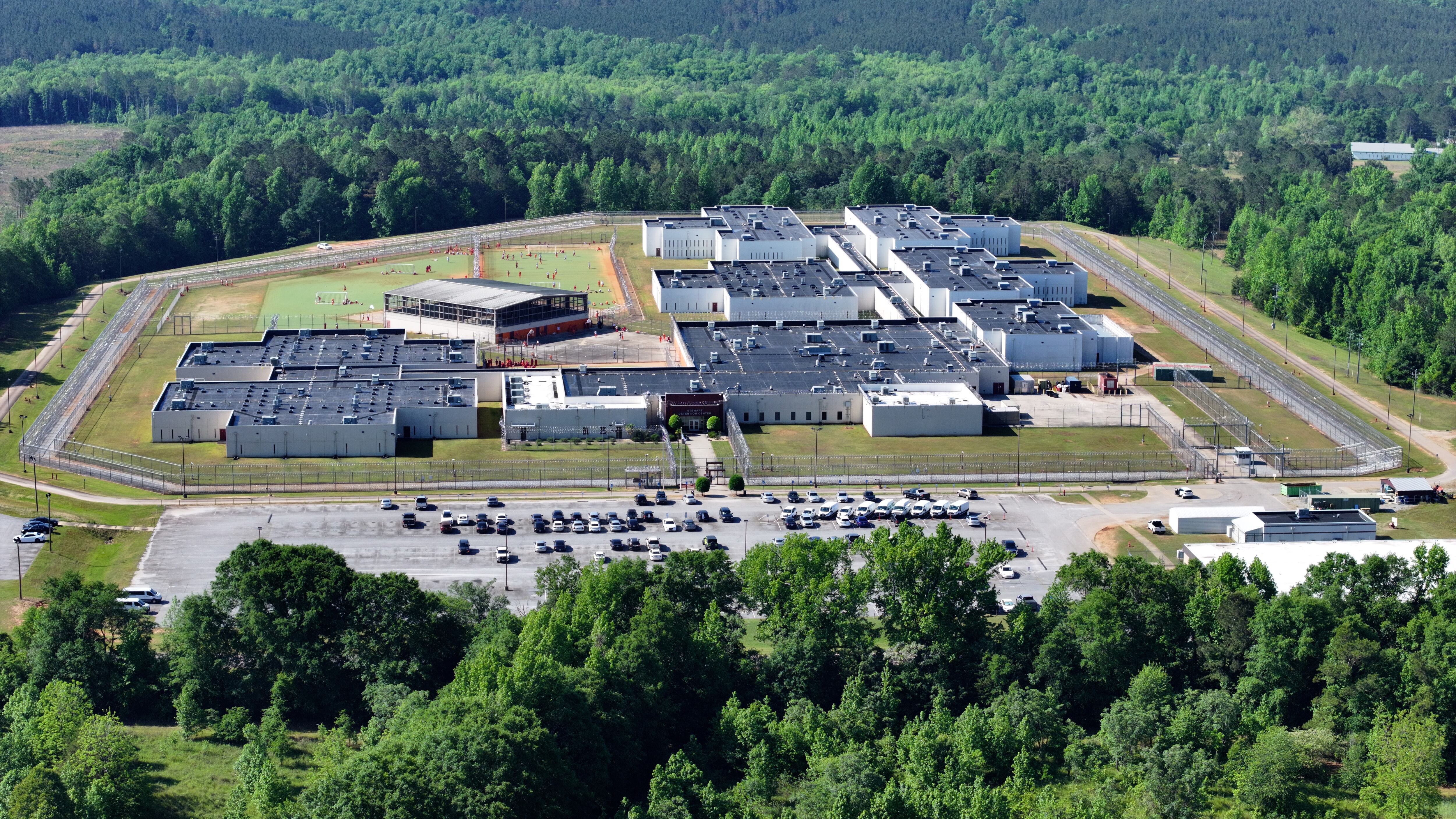 Implications for Immigration Policy and Criminal Justice - visual representation