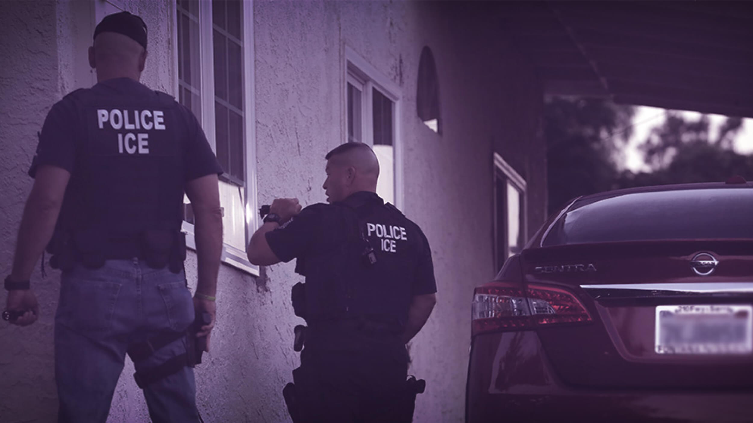 Legal and Constitutional Questions Raised by the Network - visual representation