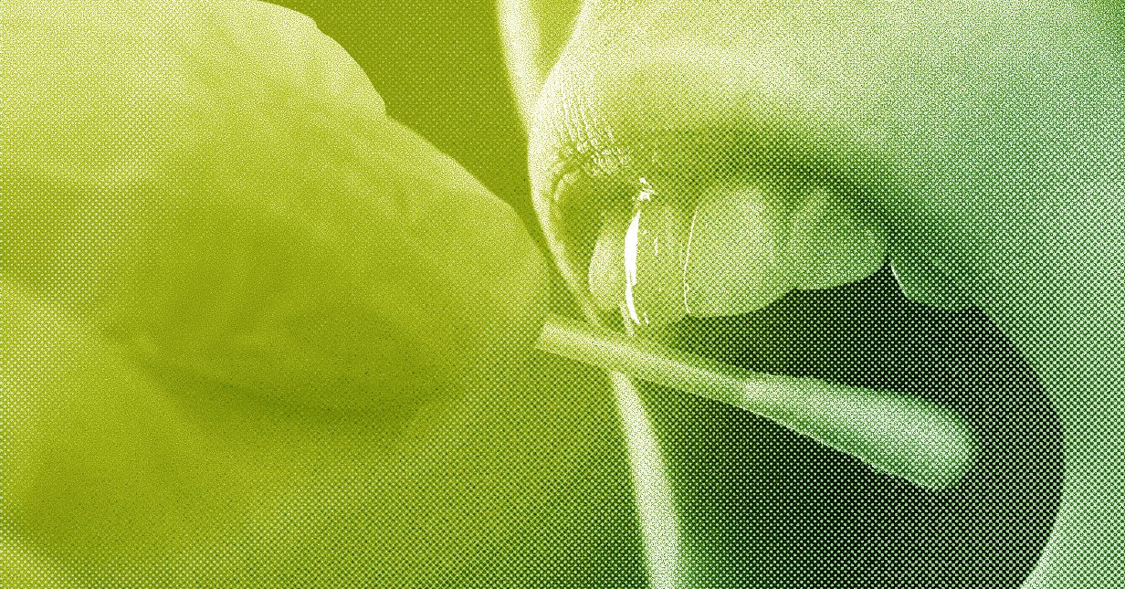 ICE’s DNA Collection Increases, SpaceX’s Rocket Crashes Into the Moon, and the AI Backlash Grows | WIRED