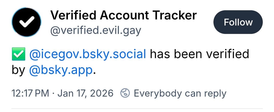 Verification as a Symbol: What Does Bluesky Endorsement Mean? - visual representation