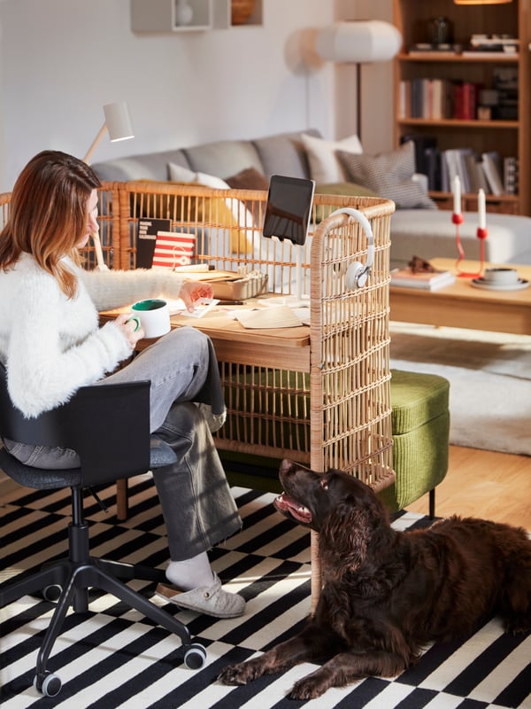 Maintenance and Longevity: Keeping Natural Materials Looking Good - visual representation