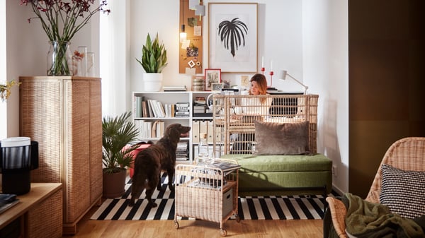 Productivity Impact: Does a Natural Office Actually Help You Work Better? - visual representation