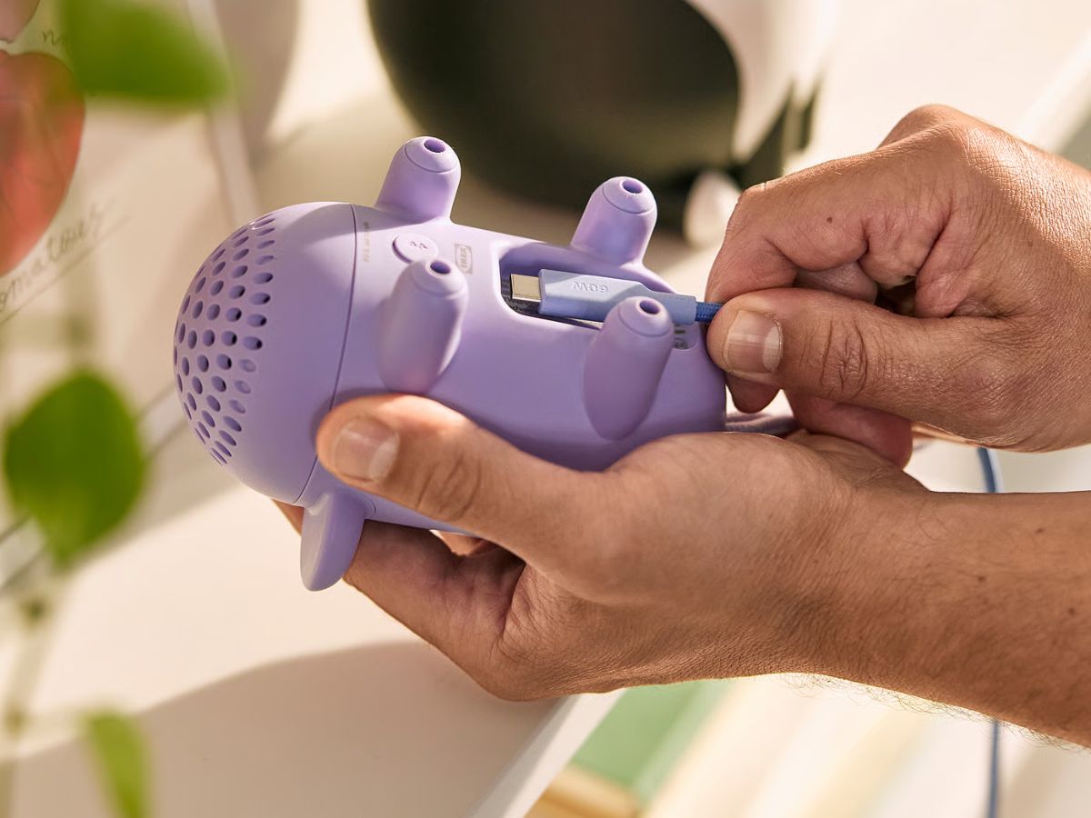 Design and Durability: The Purple Mouse Form Factor Explained - visual representation