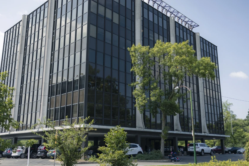 Expert Perspectives: What Security Professionals Say - visual representation