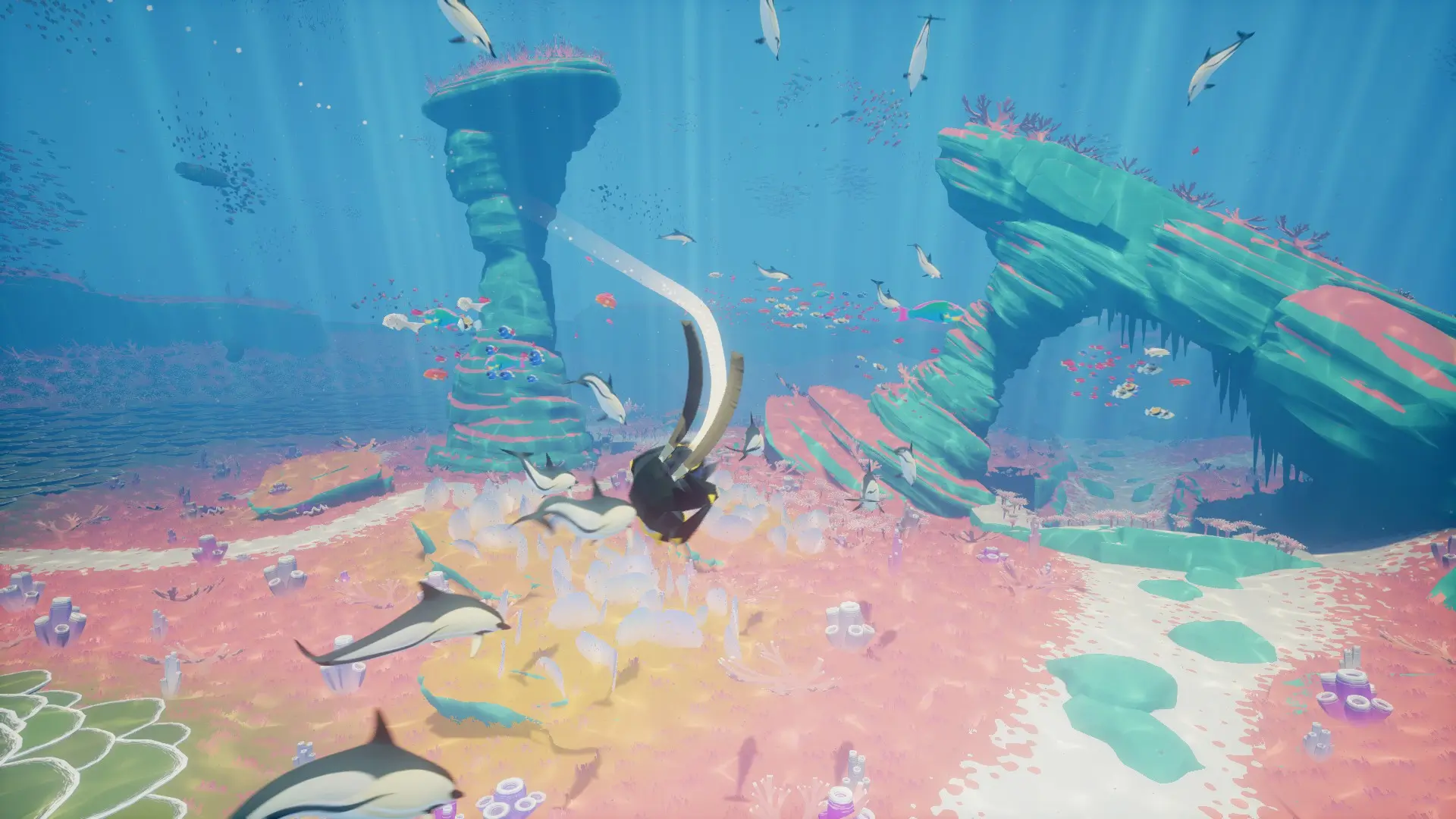 Introduction - visual representation