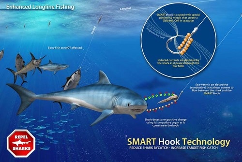 Innovations in Fishing Technology - visual representation