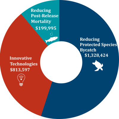 Future Trends in Bycatch Reduction - contextual illustration