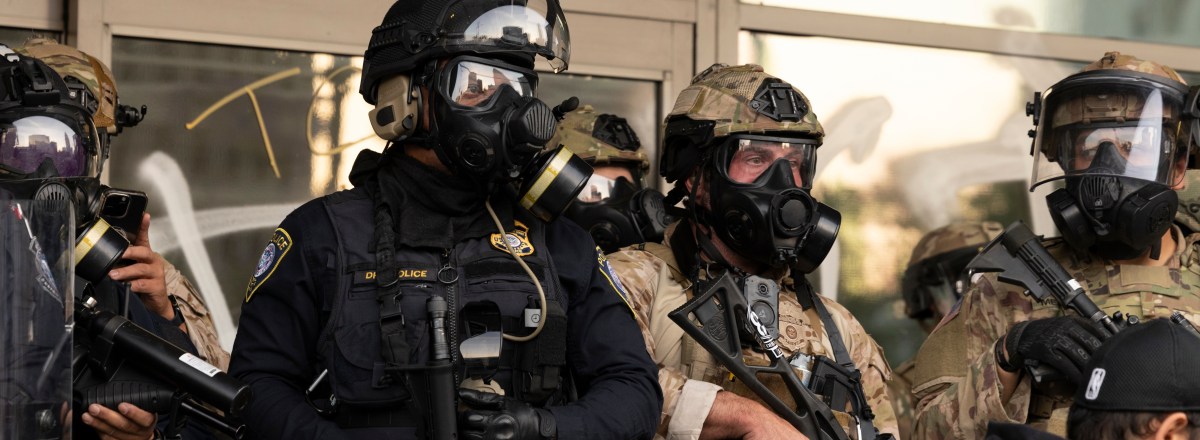 Comparative Context: Federal Law Enforcement and Public Sector Challenges - visual representation