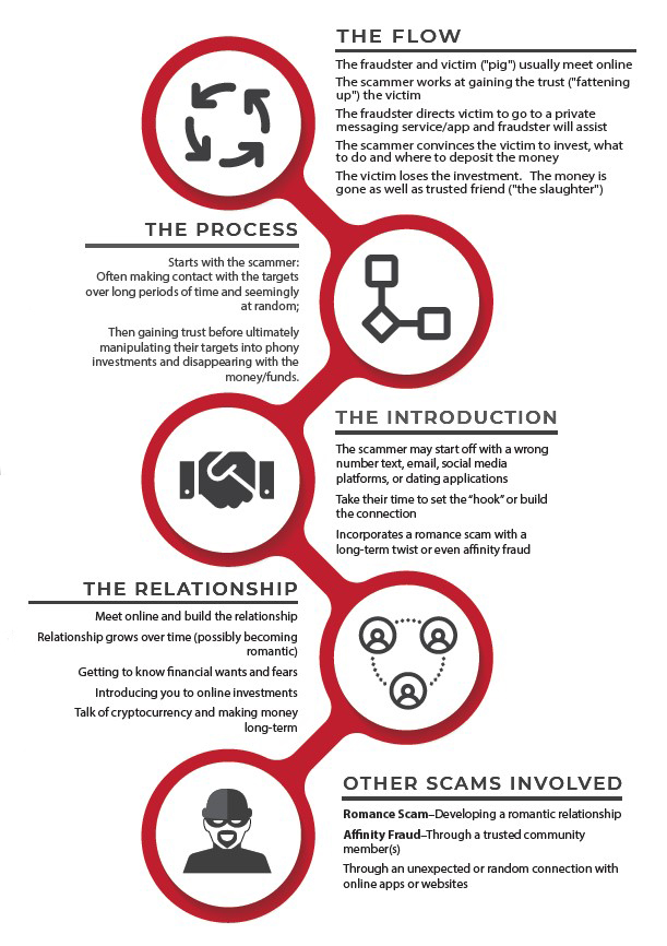 What Exactly Is a Pig Butchering Scam? - visual representation