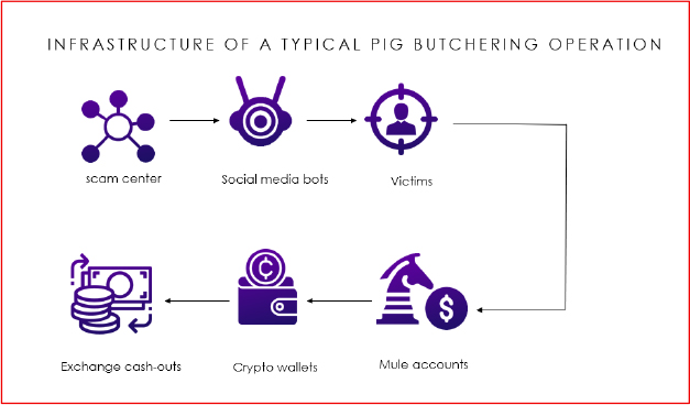 The Mathematics of Enslavement - visual representation