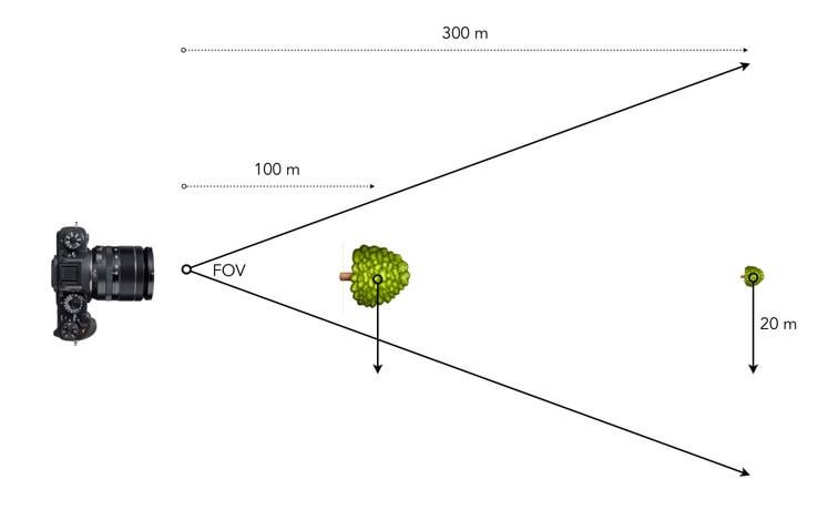 Technical Breakdown: Features and Functionality - visual representation