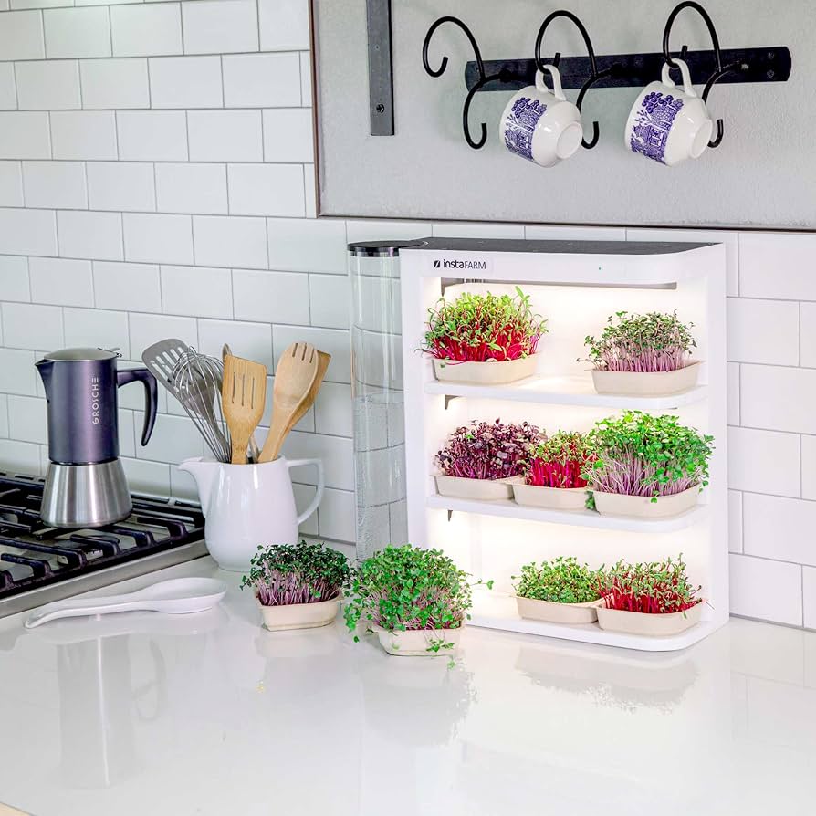 Introducing Insta Farm: A Game-Changer - visual representation