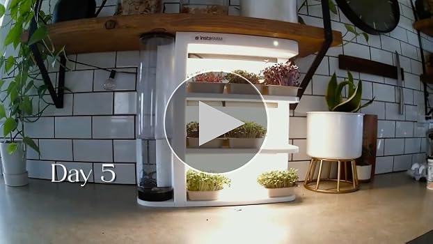 Future Trends in Indoor Gardening - visual representation
