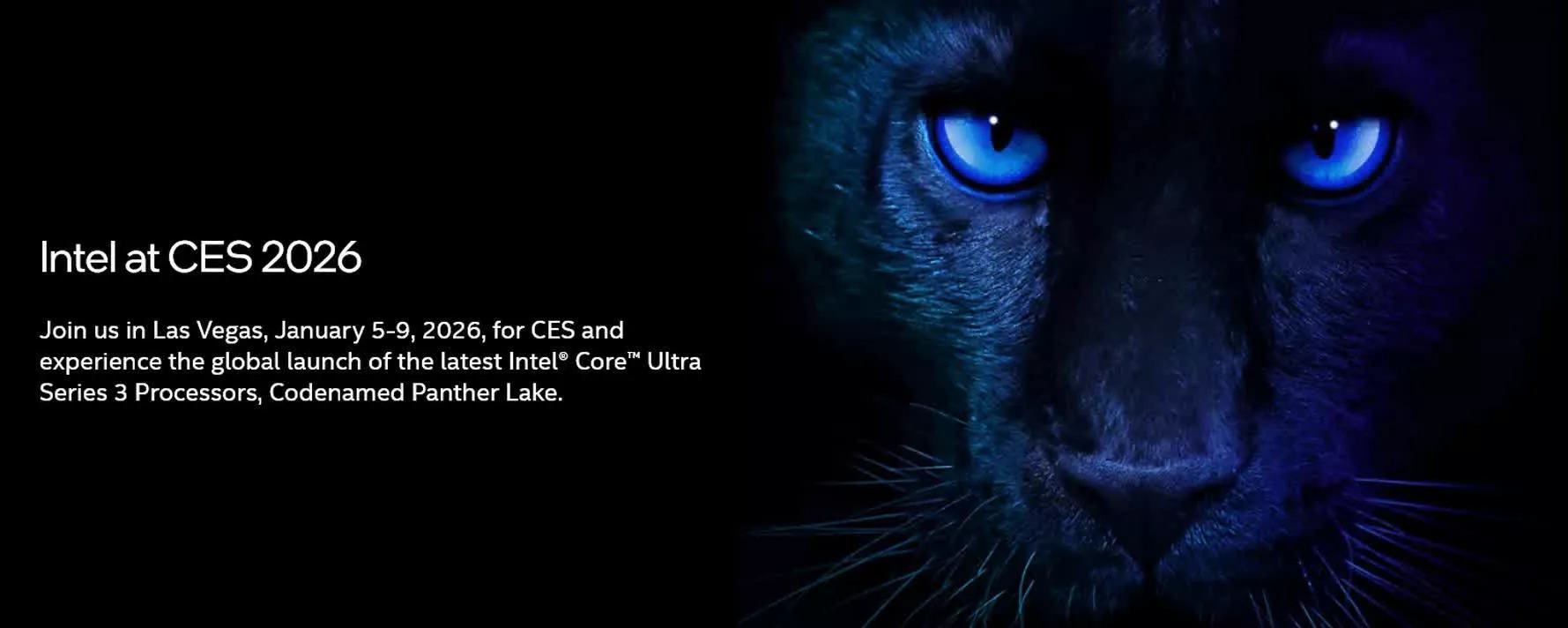 Future Roadmap and Intel's Longer-Term Strategy - visual representation