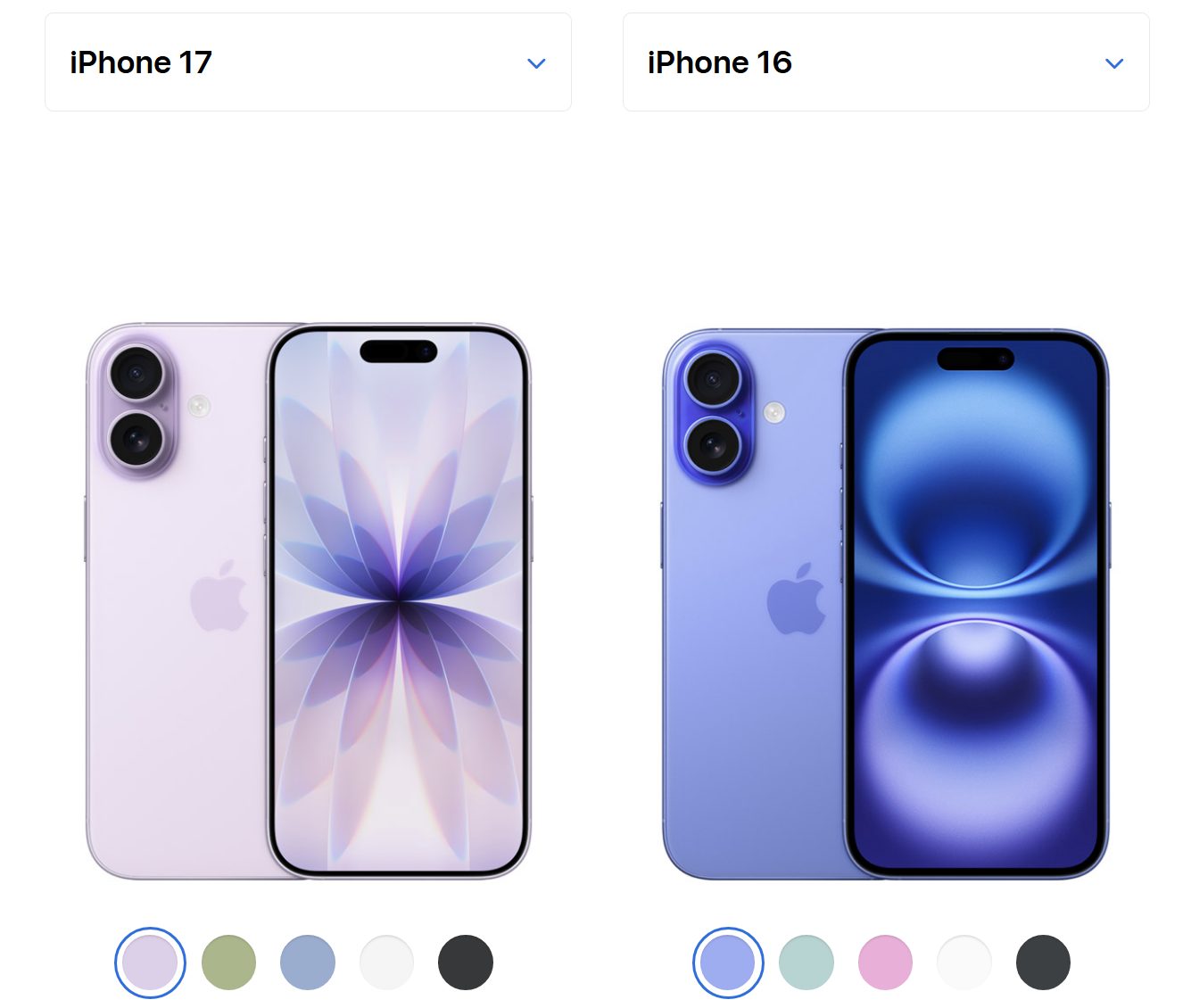 Conclusion: Making Your Final Decision - visual representation