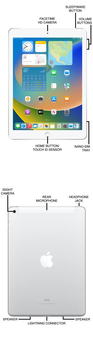 Display Technology: Where the iPhone Air 2 Gets Interesting - visual representation