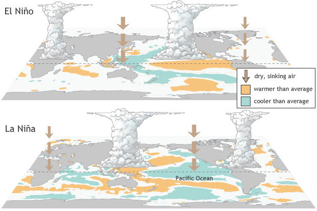 Understanding El Niño - contextual illustration