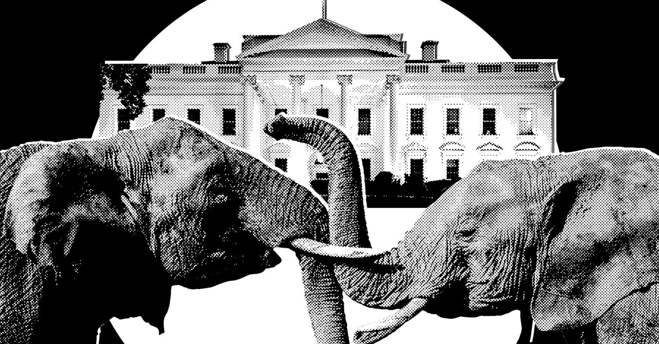 It's Officially Election Season In Trumpworld | WIRED