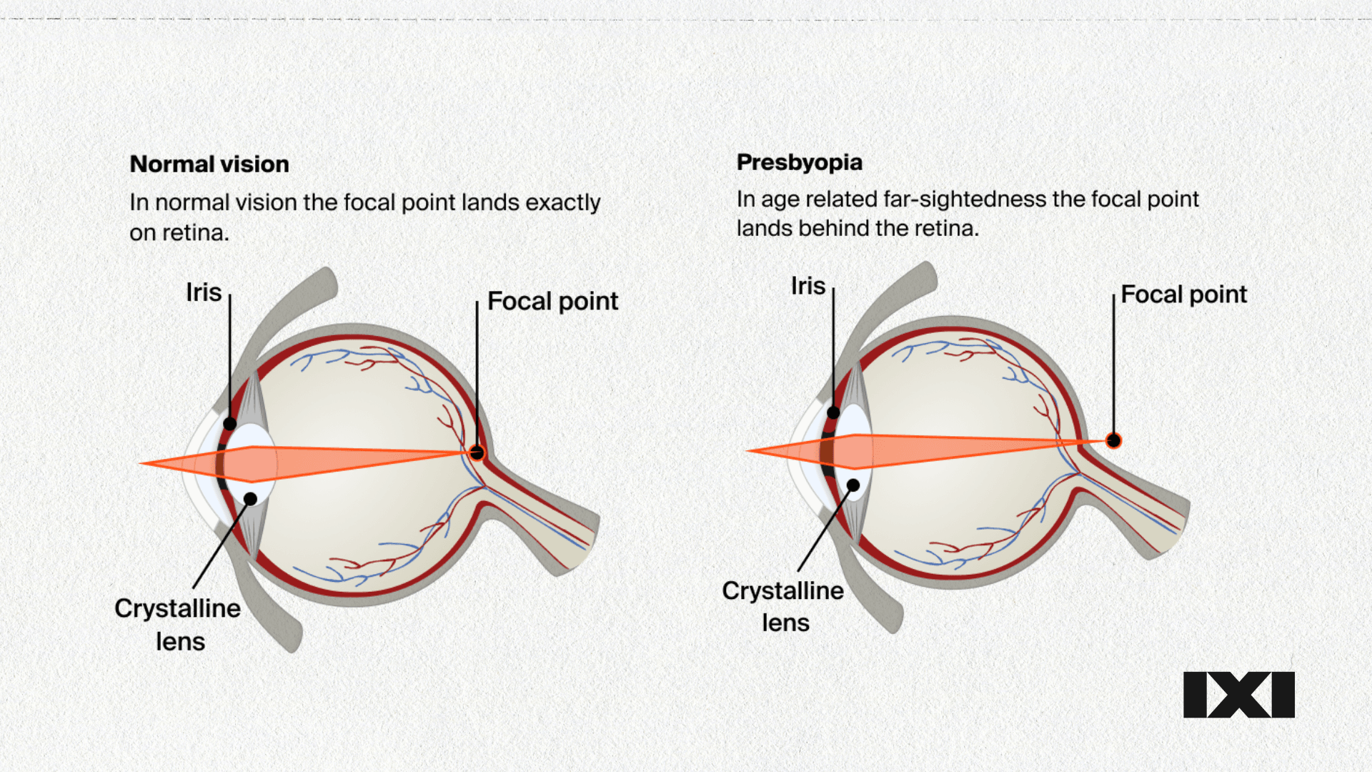 Regulatory Requirements and Certification Path - visual representation