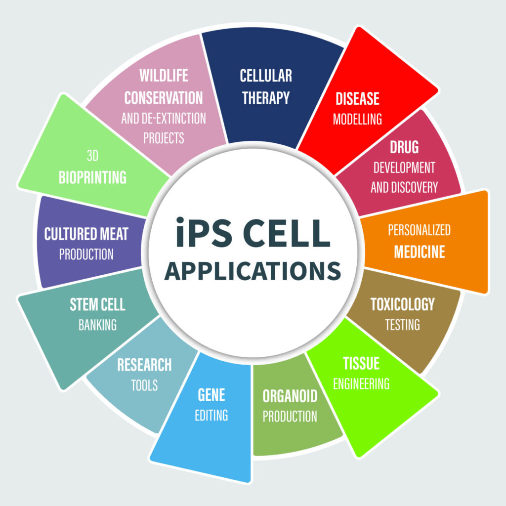 Common Pitfalls and Solutions - visual representation