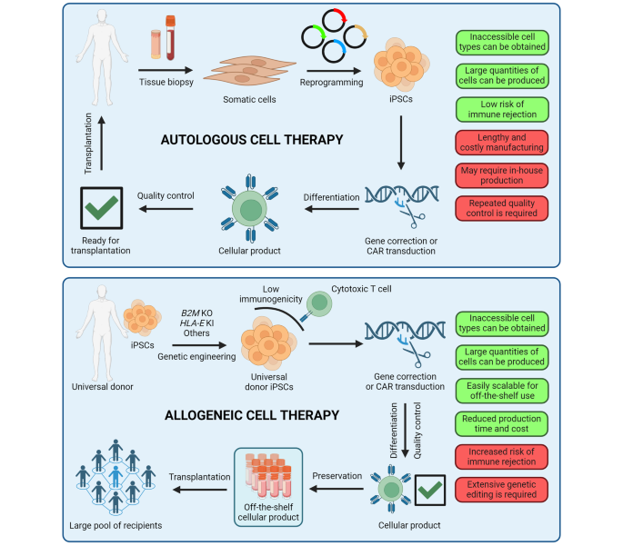 Practical Implementation and Challenges - contextual illustration