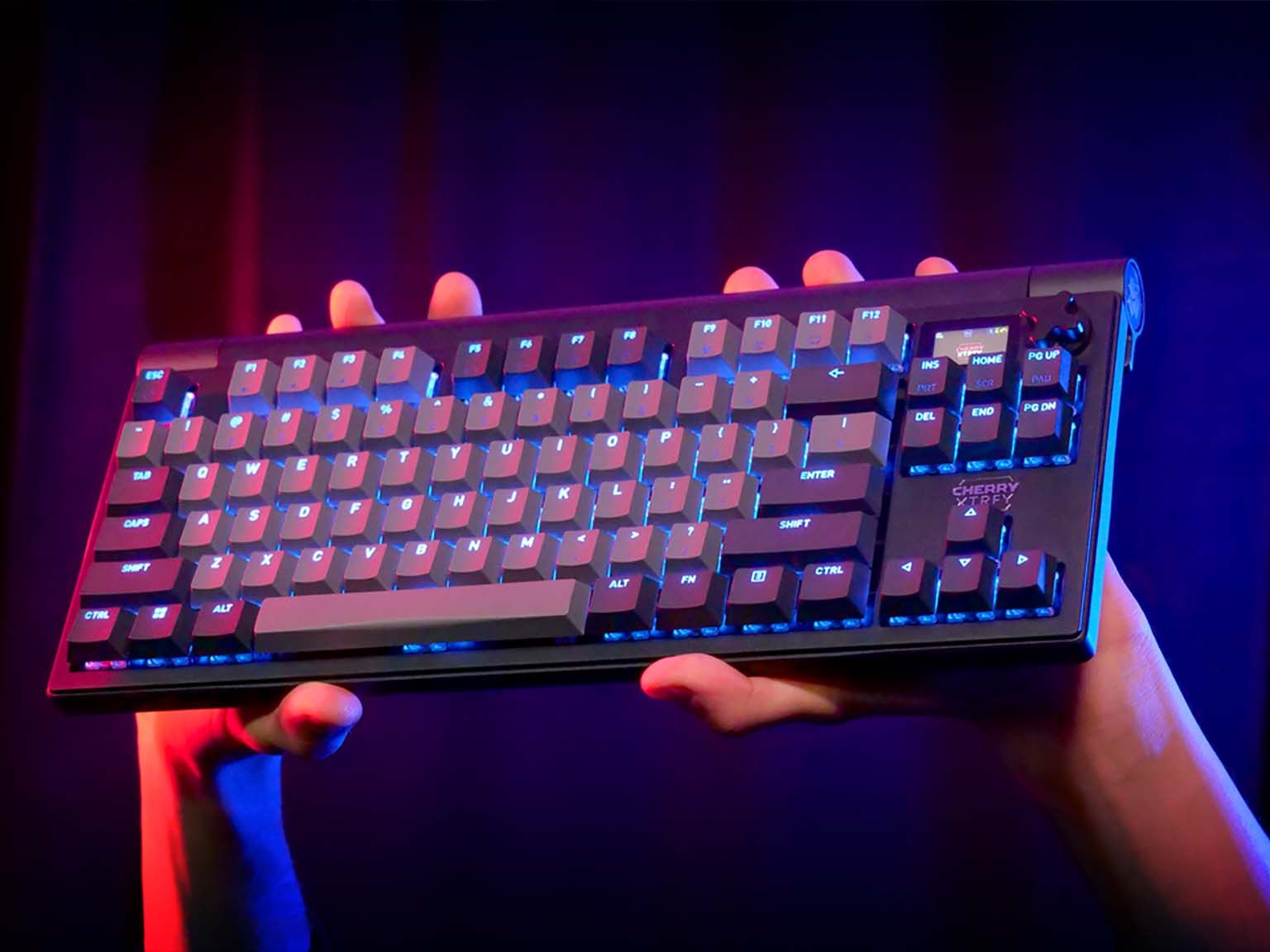 Software and Ecosystem: The Hidden Factor - visual representation