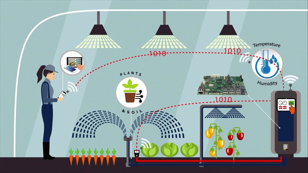 FAQ - visual representation