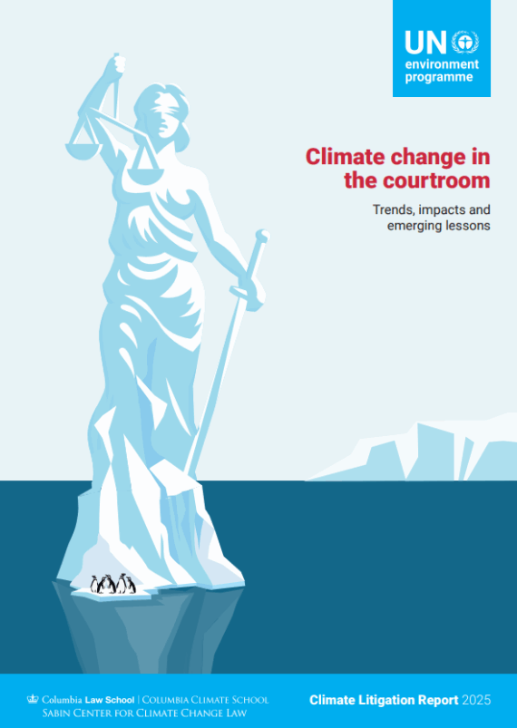 What Judges Actually Need to Know About Climate Science - visual representation