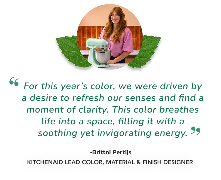 Competitive Landscape: How Spearmint Positions Kitchen Aid - visual representation