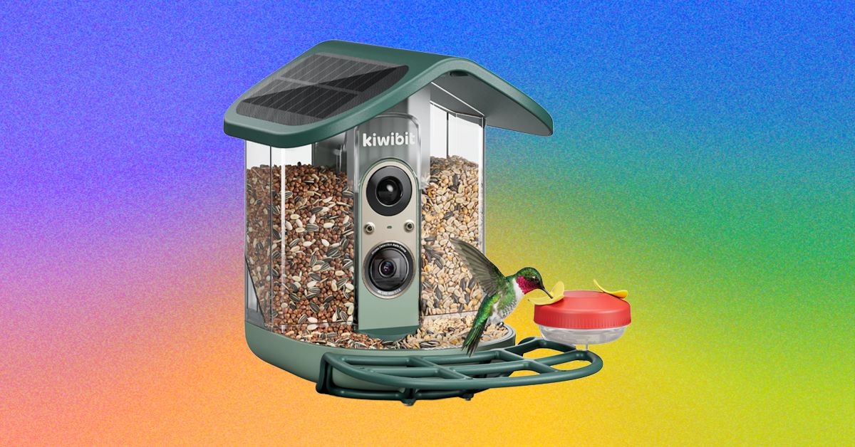 Kiwibit Bird Feeder 2 Pro Review: Premium but Paywalled | WIRED