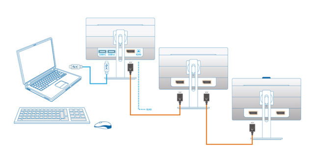 Display Panel Performance: IPS Quality at Budget Pricing - visual representation